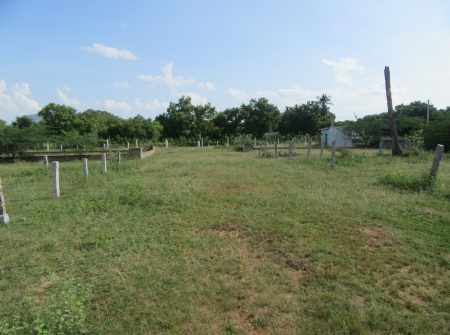 1) Li Id 242 - Pic 2.JPG